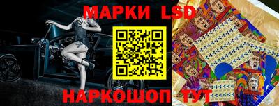 Альфа ПВП Можга